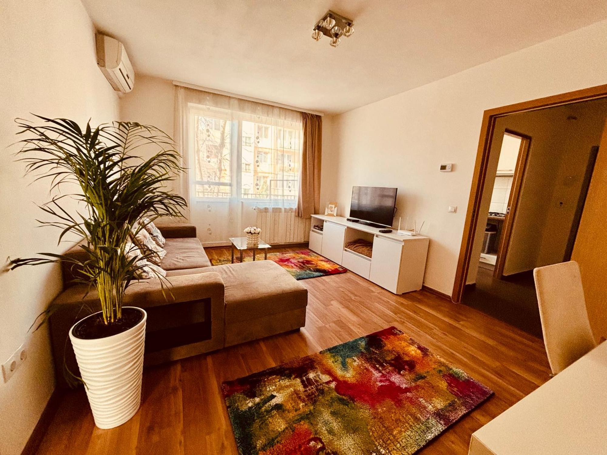 Sweet Apartament Baia Mare Dış mekan fotoğraf